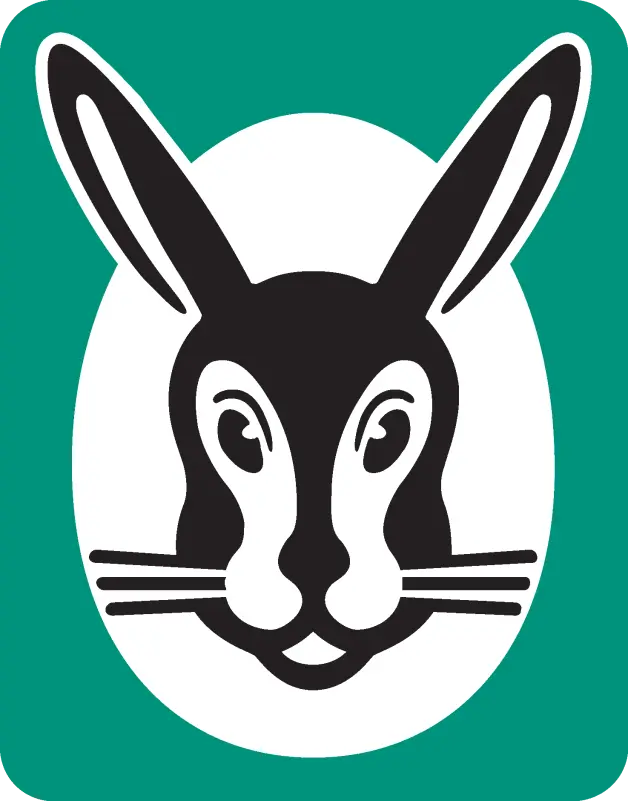 centro assistenza Vaillant Napoli